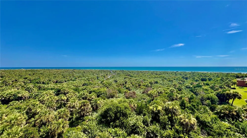 261 MINORCA BEACH WAY #702 New Smyrna Beach, FL 32169