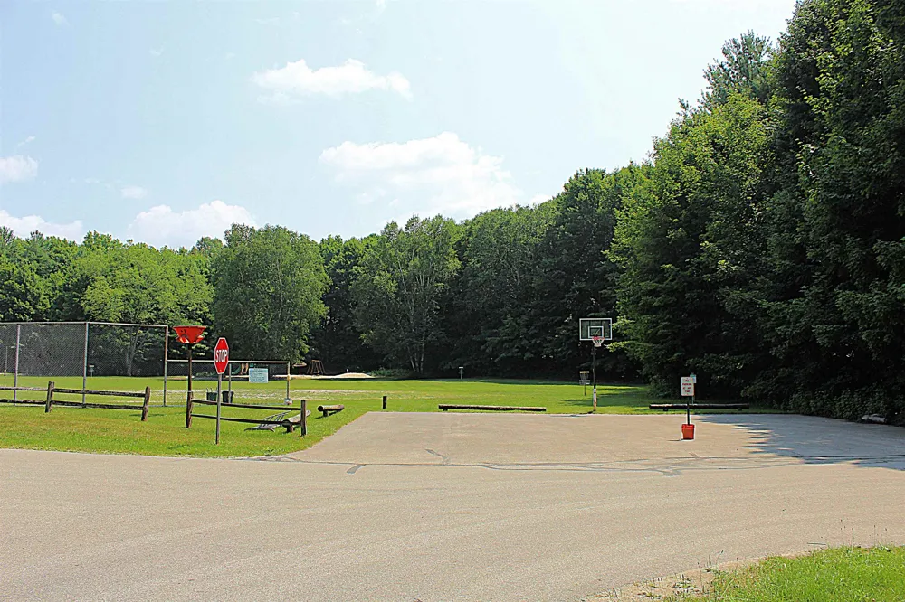 8131 Hillside Drive Long Lake Township, MI 49685