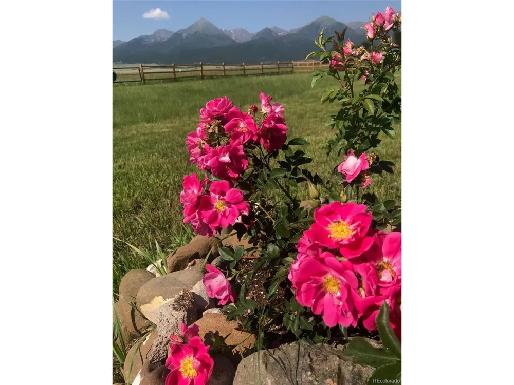 28 County Road 136 Westcliffe, CO 81252
