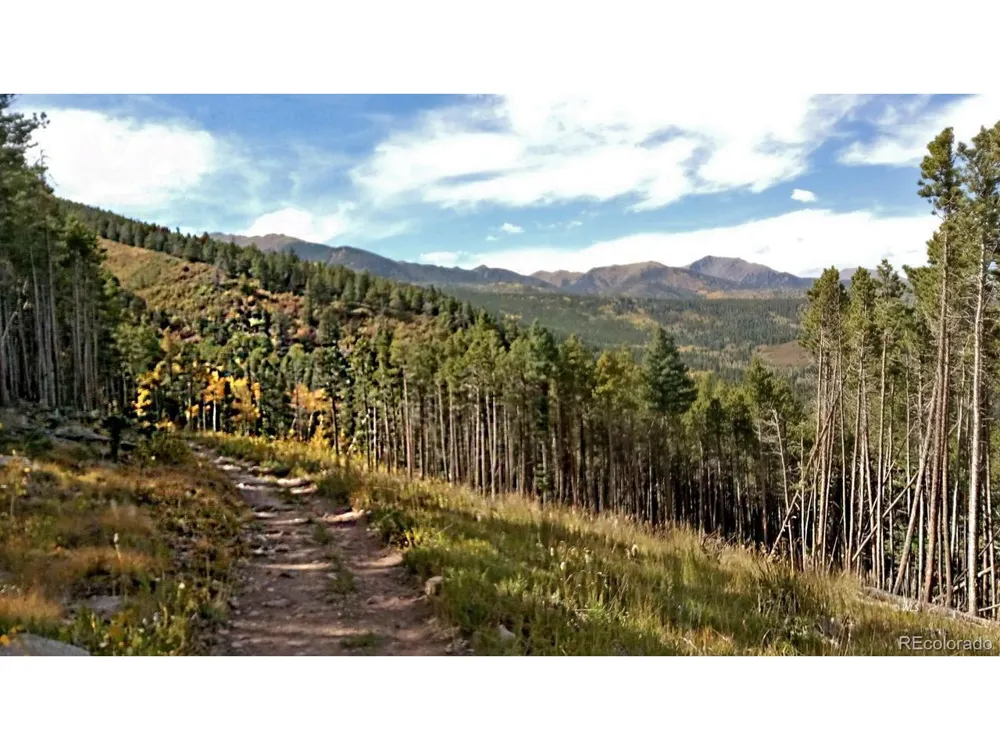 28 County Road 136 Westcliffe, CO 81252