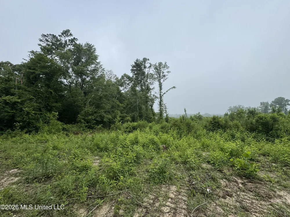 W Gallatin Street Hazlehurst, MS 39083
