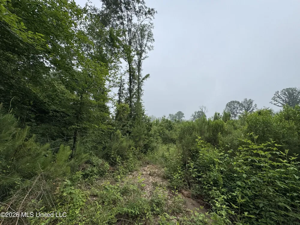 W Gallatin Street Hazlehurst, MS 39083