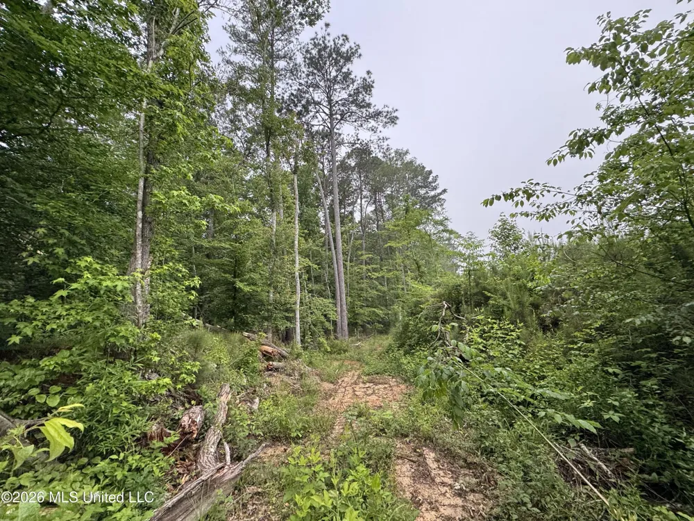 W Gallatin Street Hazlehurst, MS 39083