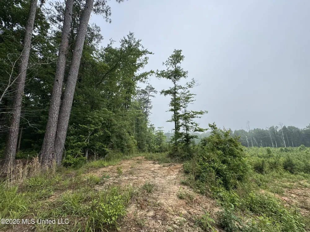 W Gallatin Street Hazlehurst, MS 39083