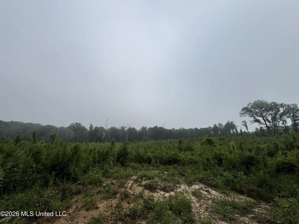 W Gallatin Street Hazlehurst, MS 39083