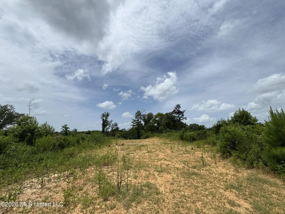 W Gallatin Street Hazlehurst, MS 39083