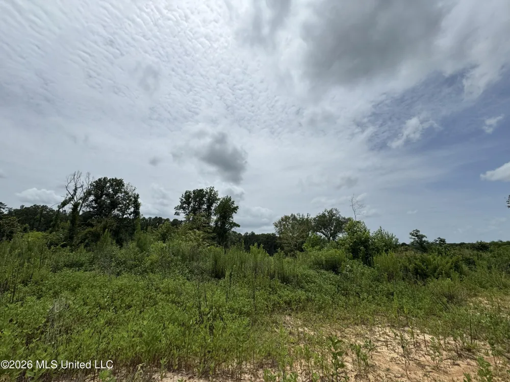 W Gallatin Street Hazlehurst, MS 39083