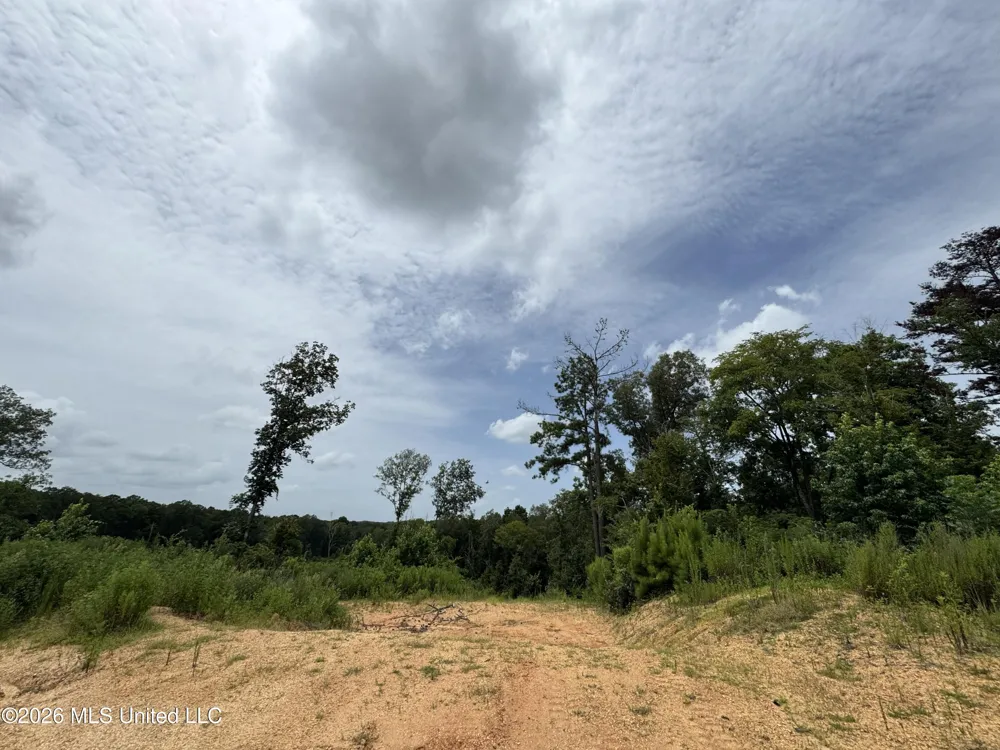 W Gallatin Street Hazlehurst, MS 39083