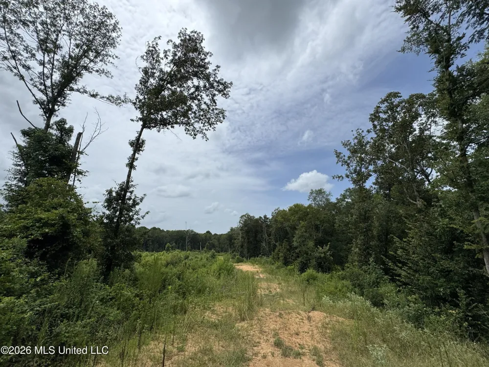 W Gallatin Street Hazlehurst, MS 39083