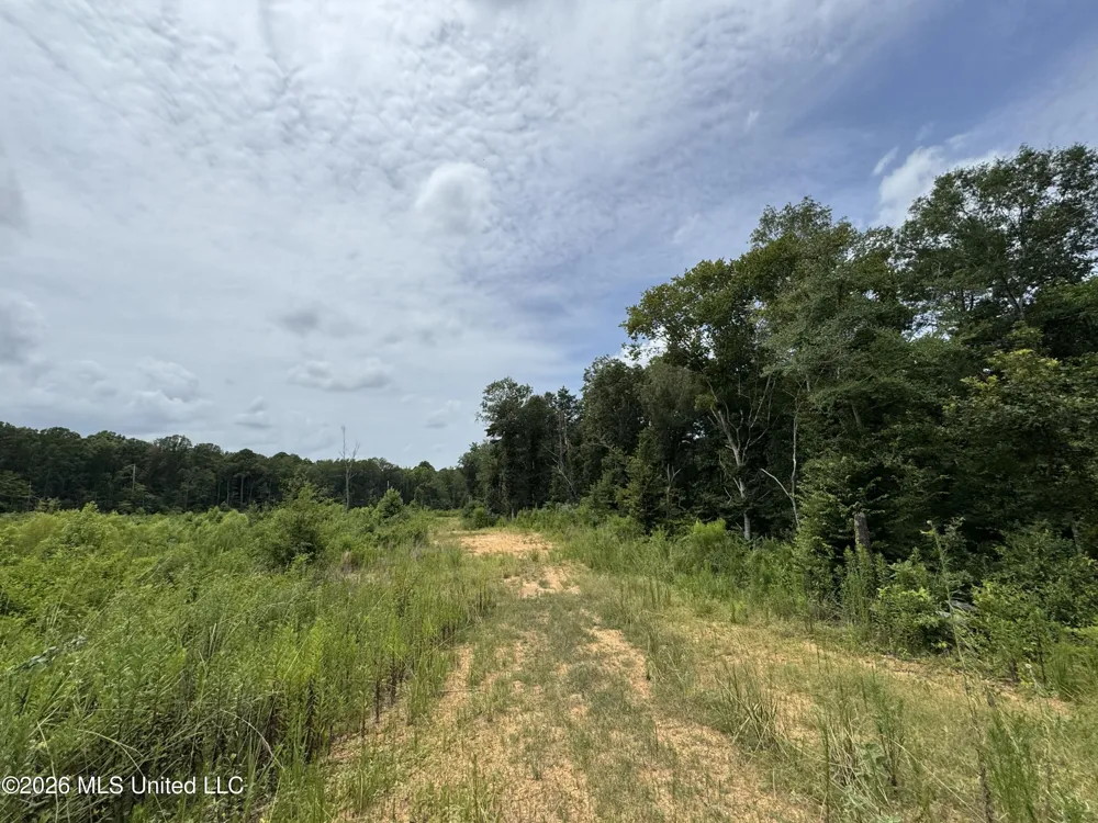 W Gallatin Street Hazlehurst, MS 39083