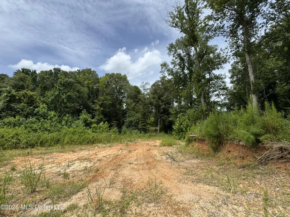 W Gallatin Street Hazlehurst, MS 39083