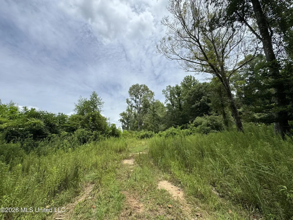 W Gallatin Street Hazlehurst, MS 39083