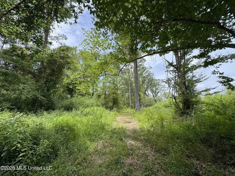 W Gallatin Street Hazlehurst, MS 39083