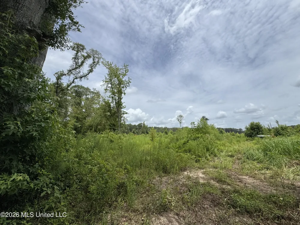 W Gallatin Street Hazlehurst, MS 39083
