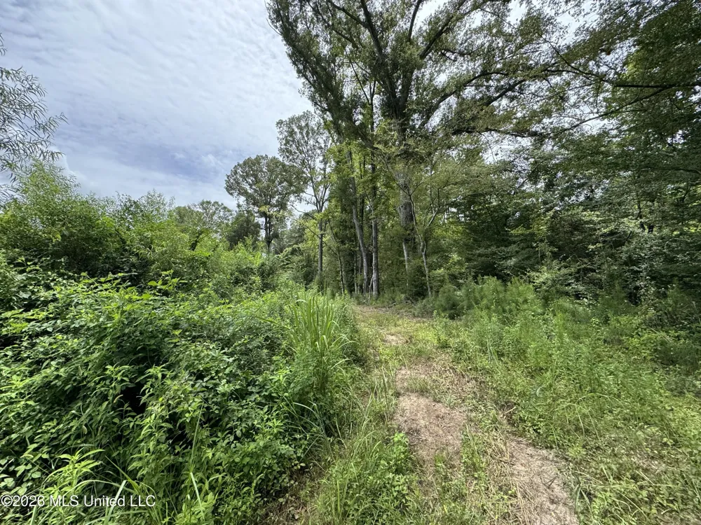 W Gallatin Street Hazlehurst, MS 39083