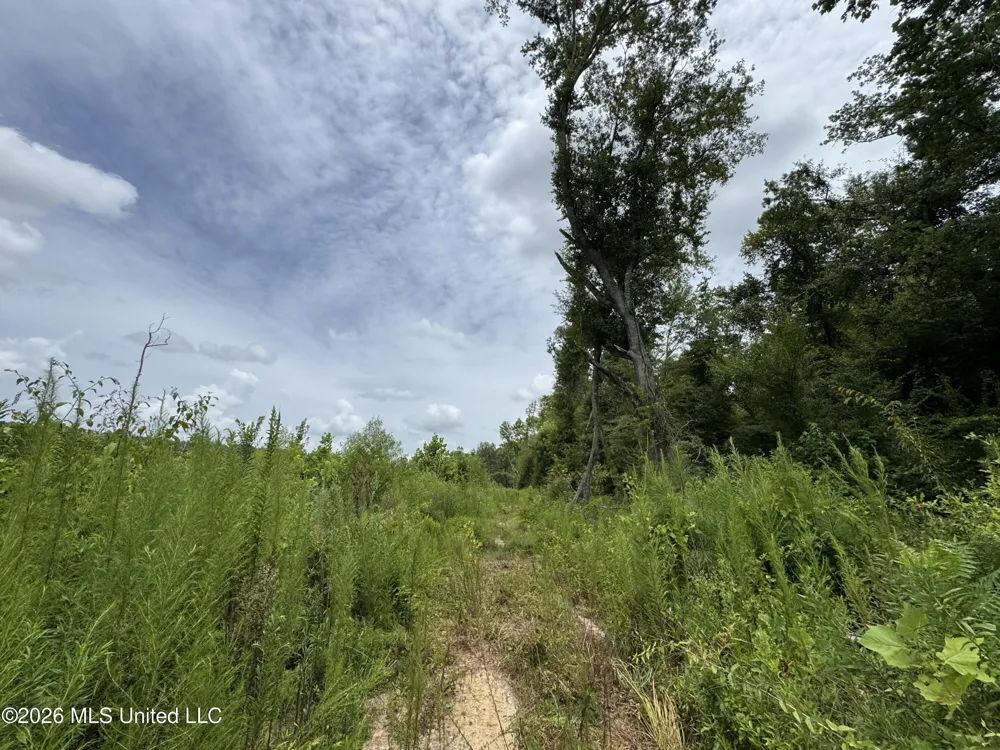 W Gallatin Street Hazlehurst, MS 39083
