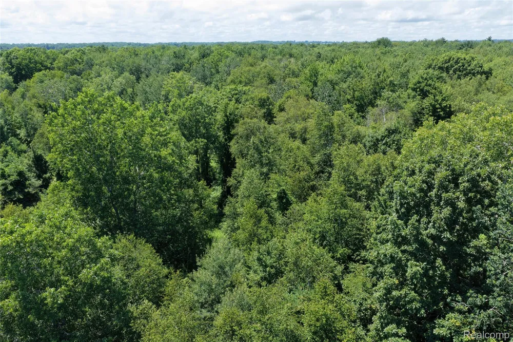 2898 Lakeshore Road Sanilac Township, MI 48401