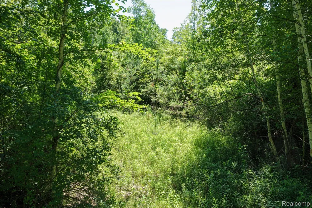 2898 Lakeshore Road Sanilac Township, MI 48401