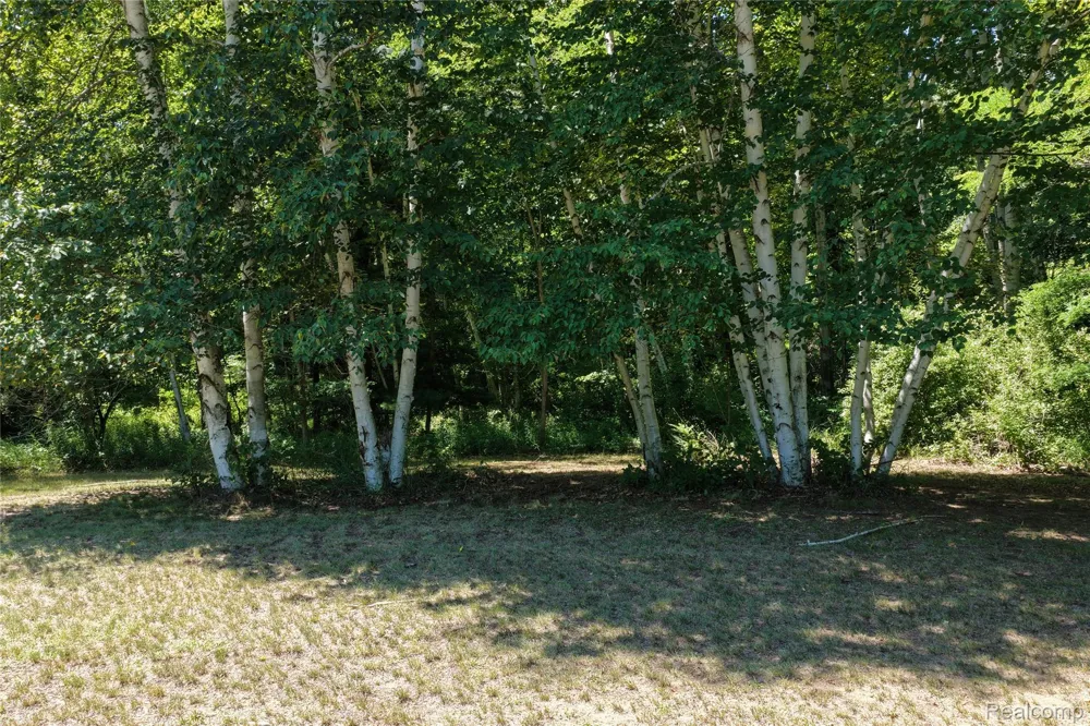 Lakeshore Road Sanilac Township, MI 48401