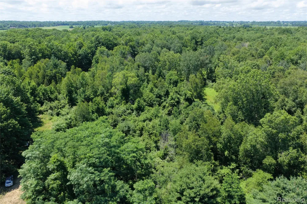 Lakeshore Road Sanilac Township, MI 48401