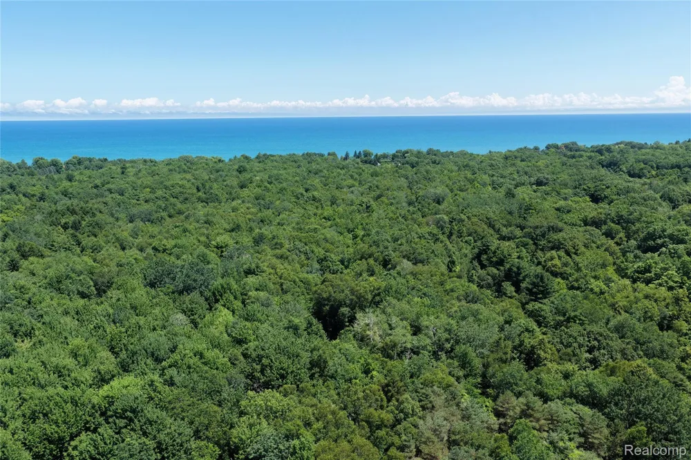 Lakeshore Road Sanilac Township, MI 48401