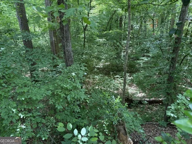 LOT 10 Brookhollow DR Canton, GA 30114