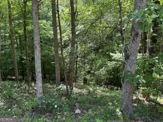 4.6 AC Cherry Grove Ball Ground, GA 30107