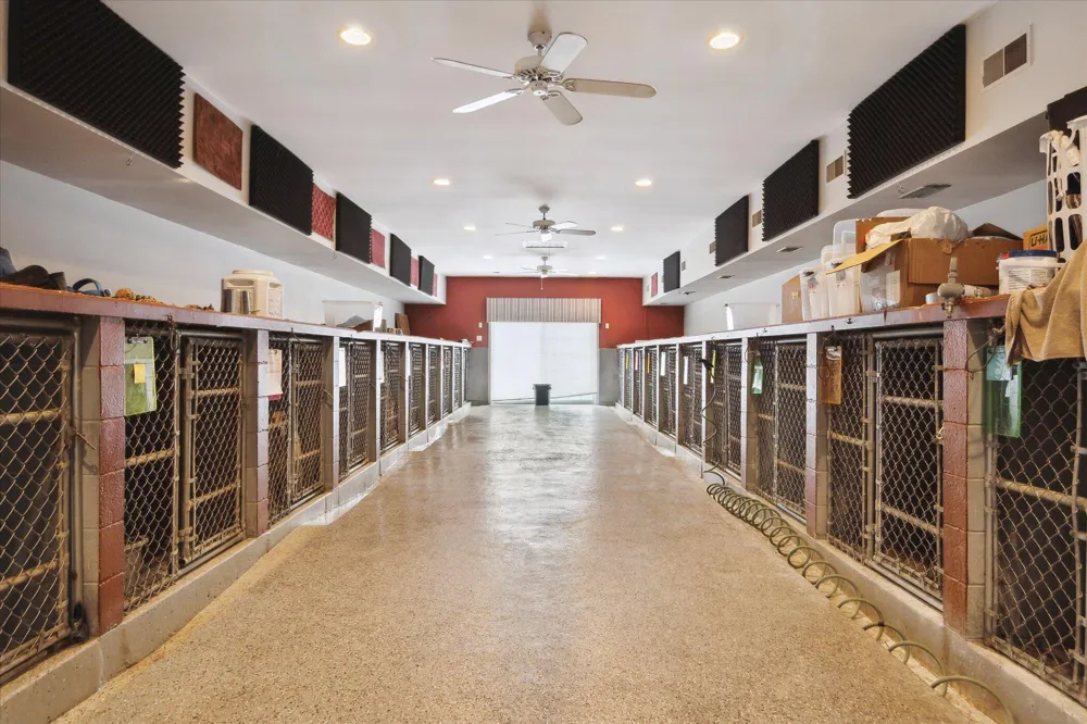 3650 Hogback Road Handy Township, MI 48836