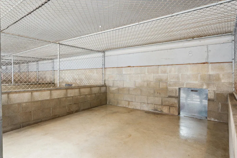 3650 Hogback Road Handy Township, MI 48836