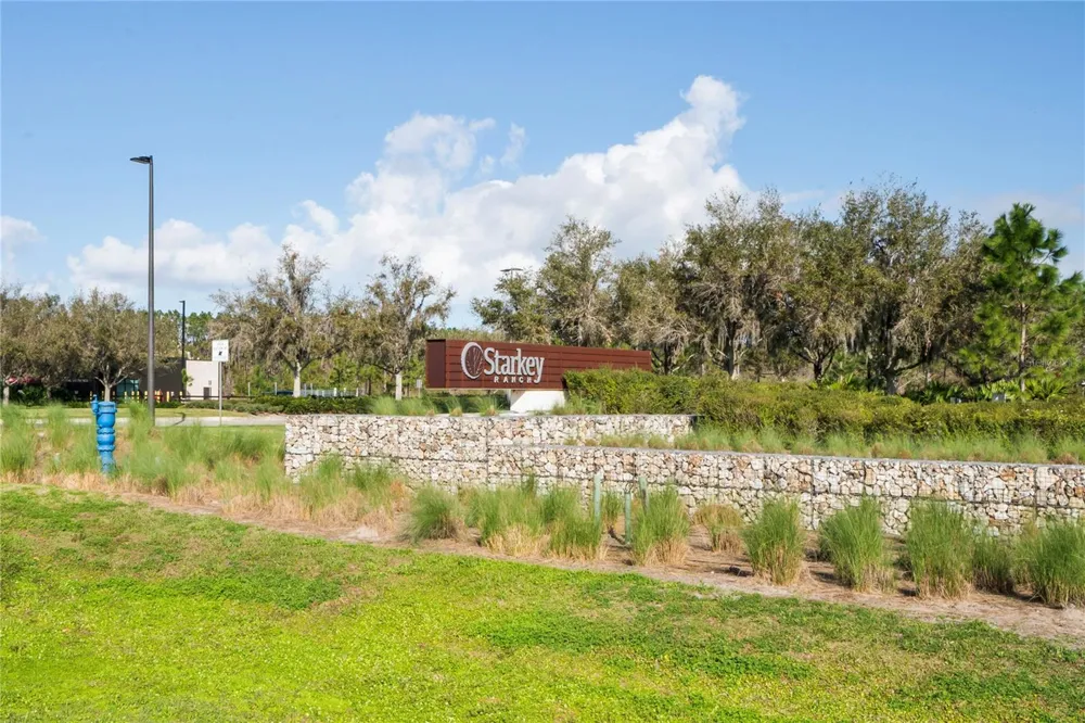 13636 STEVENSON LANE Odessa, FL 33556
