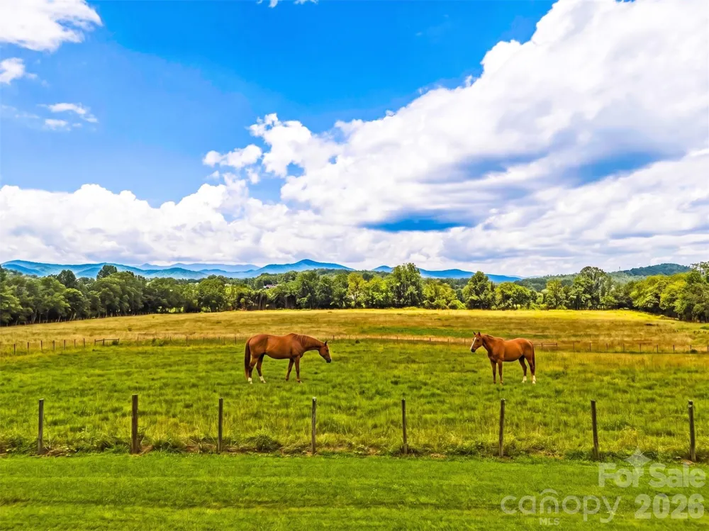 280 Walnut Hollow Road Brevard, NC 28712