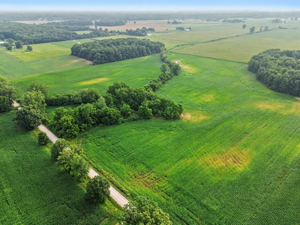 Gramlich Road Maybee, MI 48159