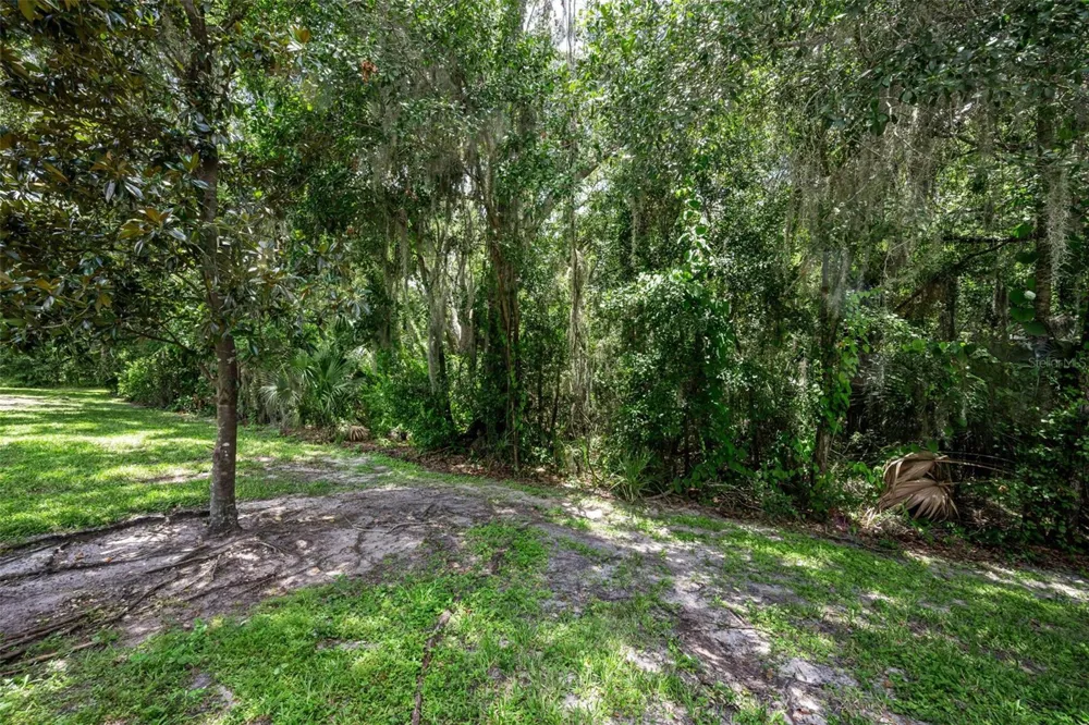2418 EARLSWOOD COURT Brandon, FL 33510