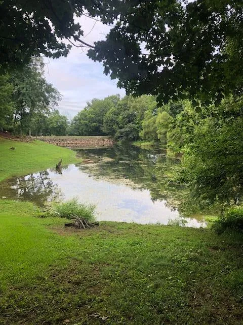134 Spring Lake Drive Dunlap, TN 37327