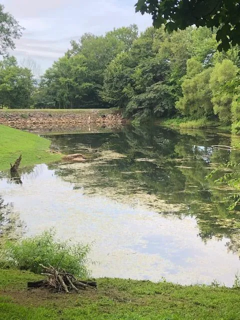 134 Spring Lake Drive Dunlap, TN 37327