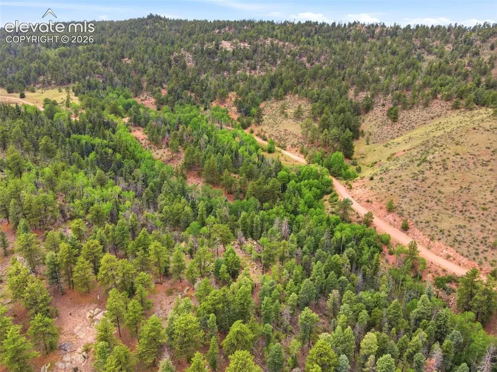 1310 Park Ridge Drive Guffey, CO 80820