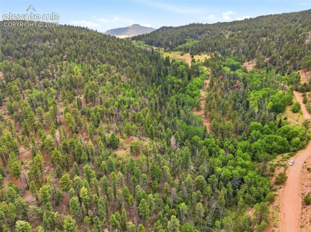 1310 Park Ridge Drive Guffey, CO 80820