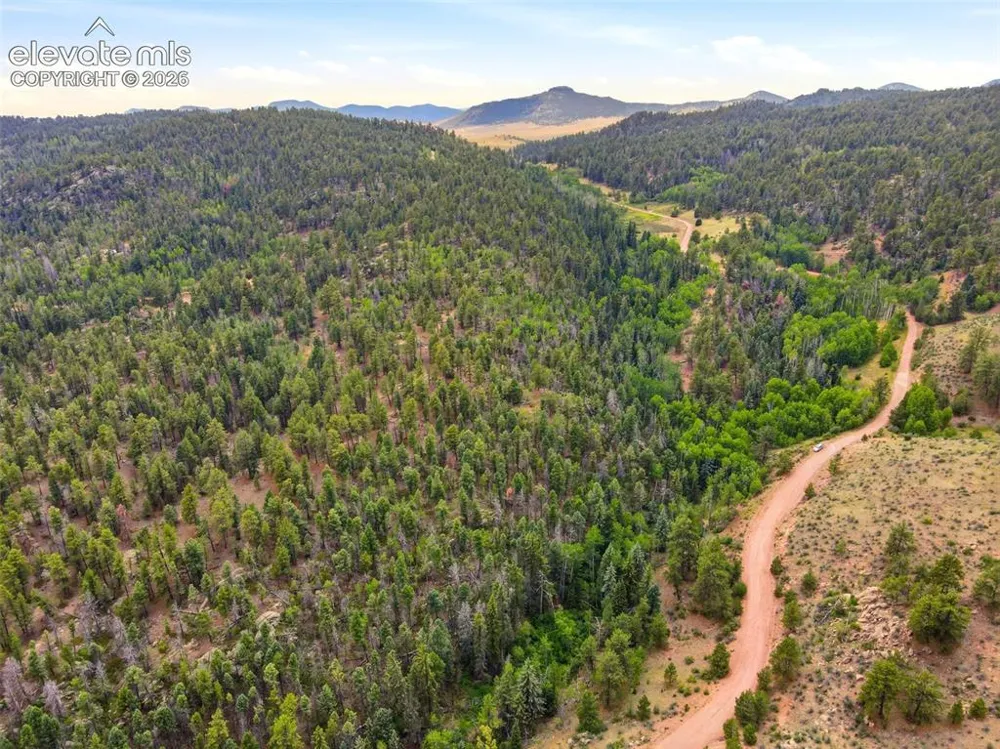 1310 Park Ridge Drive Guffey, CO 80820