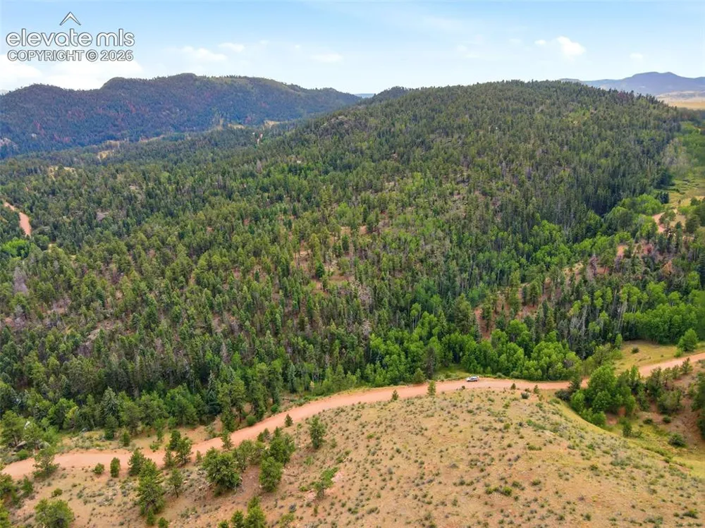 1310 Park Ridge Drive Guffey, CO 80820