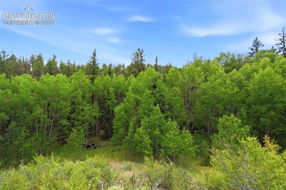 1310 Park Ridge Drive Guffey, CO 80820