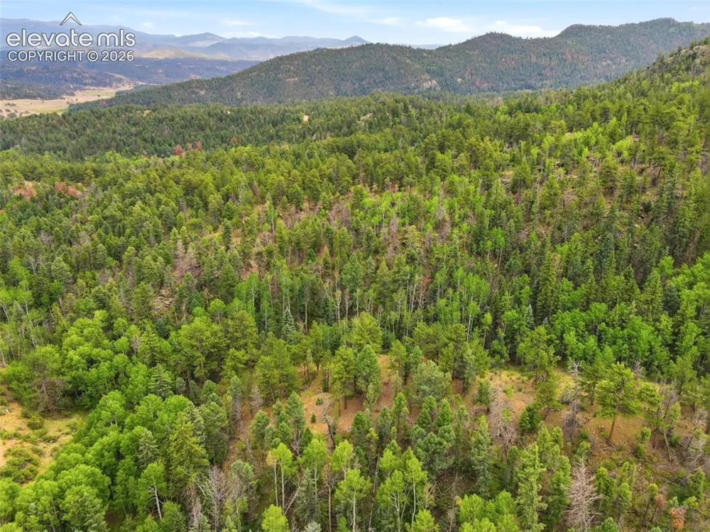 1310 Park Ridge Drive Guffey, CO 80820