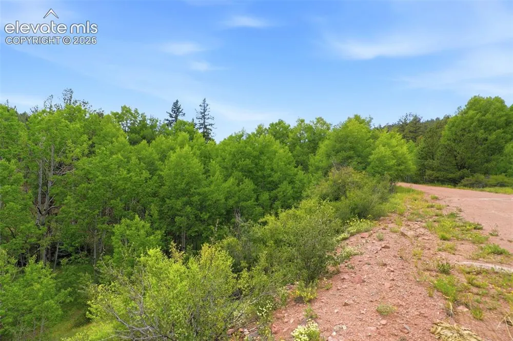 1310 Park Ridge Drive Guffey, CO 80820