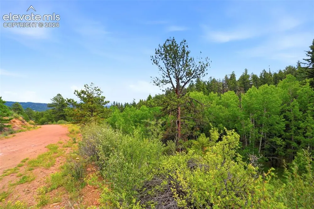 1310 Park Ridge Drive Guffey, CO 80820