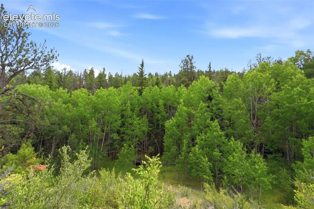 1310 Park Ridge Drive Guffey, CO 80820