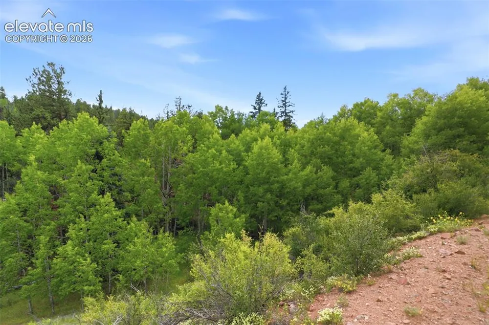 1310 Park Ridge Drive Guffey, CO 80820