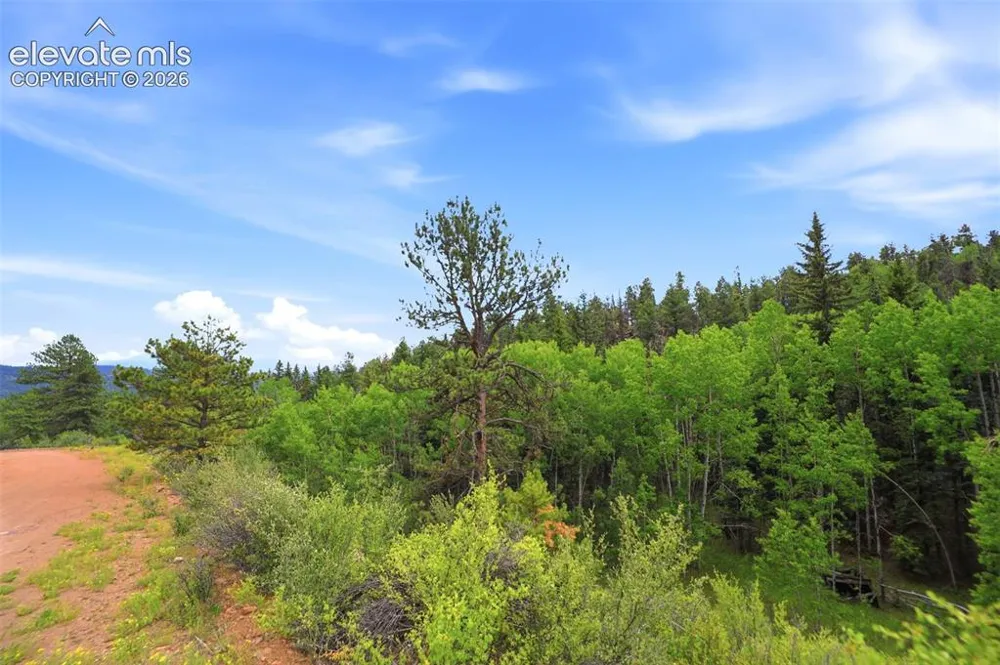 1310 Park Ridge Drive Guffey, CO 80820