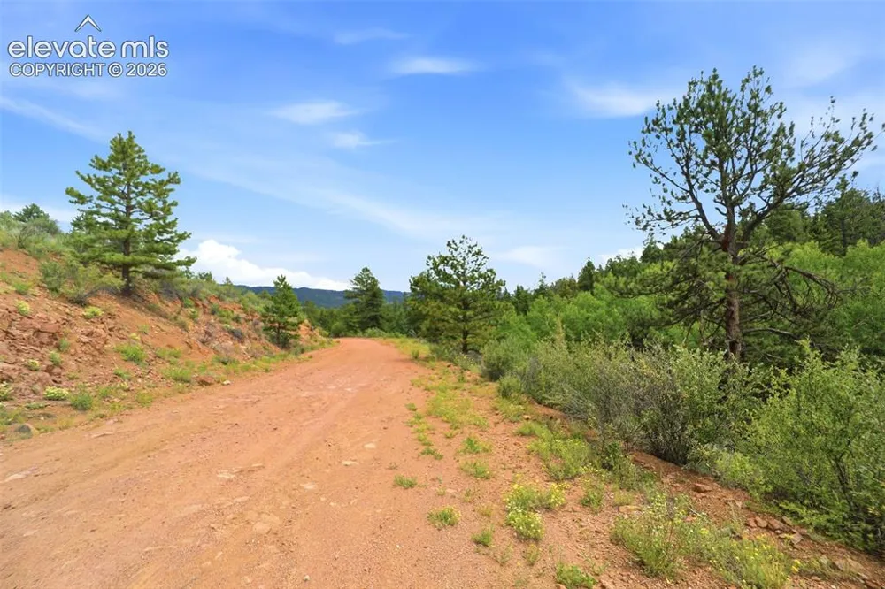 1310 Park Ridge Drive Guffey, CO 80820