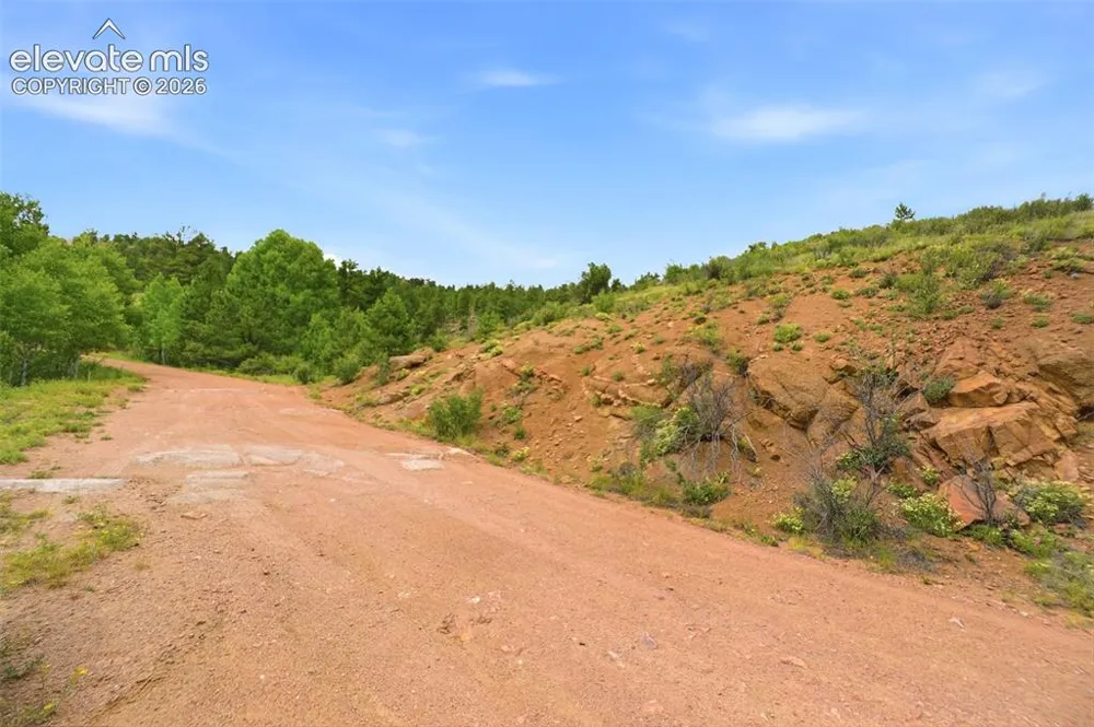 1310 Park Ridge Drive Guffey, CO 80820