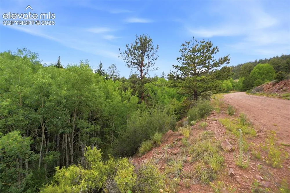 1310 Park Ridge Drive Guffey, CO 80820