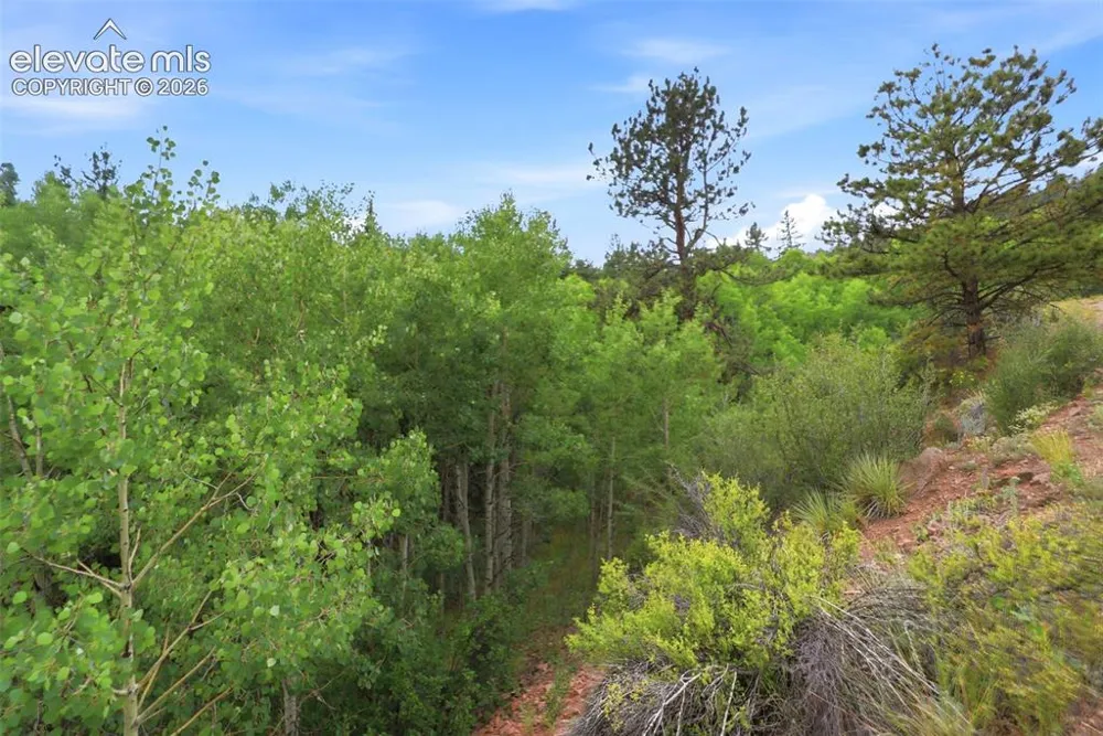 1310 Park Ridge Drive Guffey, CO 80820